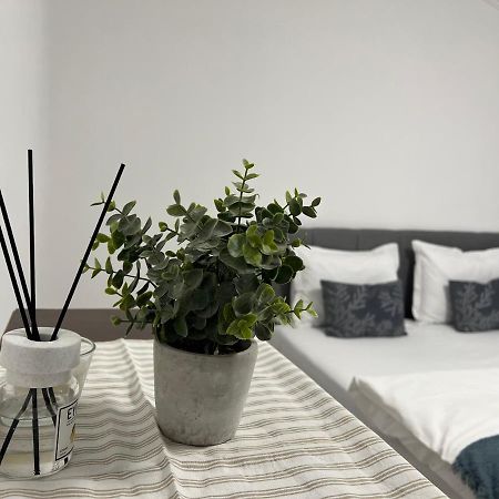 The N Apartment Cluj-Napoca Eksteriør billede